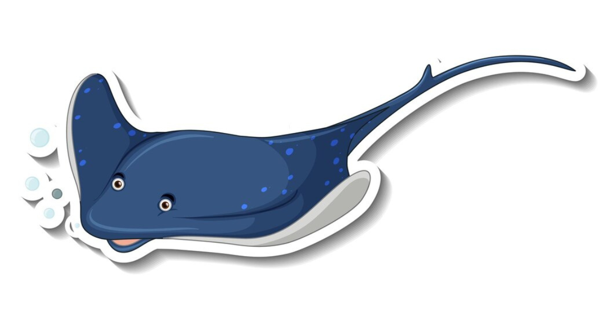 Spatula Whale