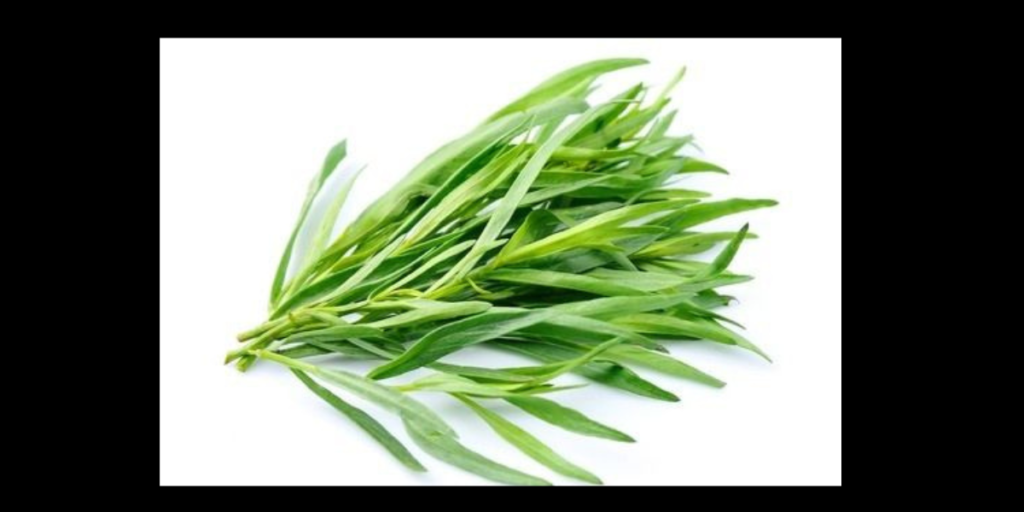 Tarragon